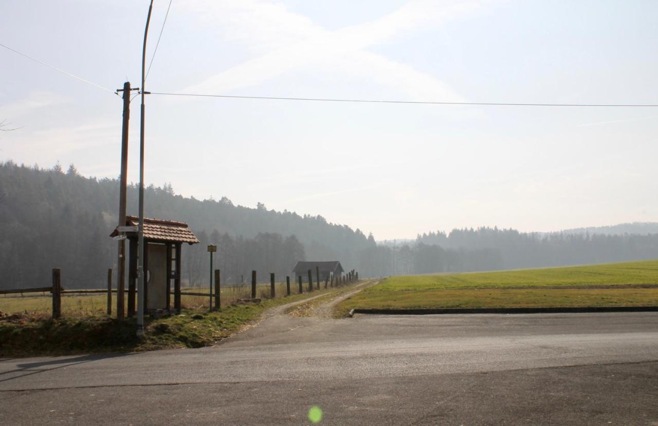 Gasthaus Zur Hardtmuehle Alsfeld Buitenkant foto