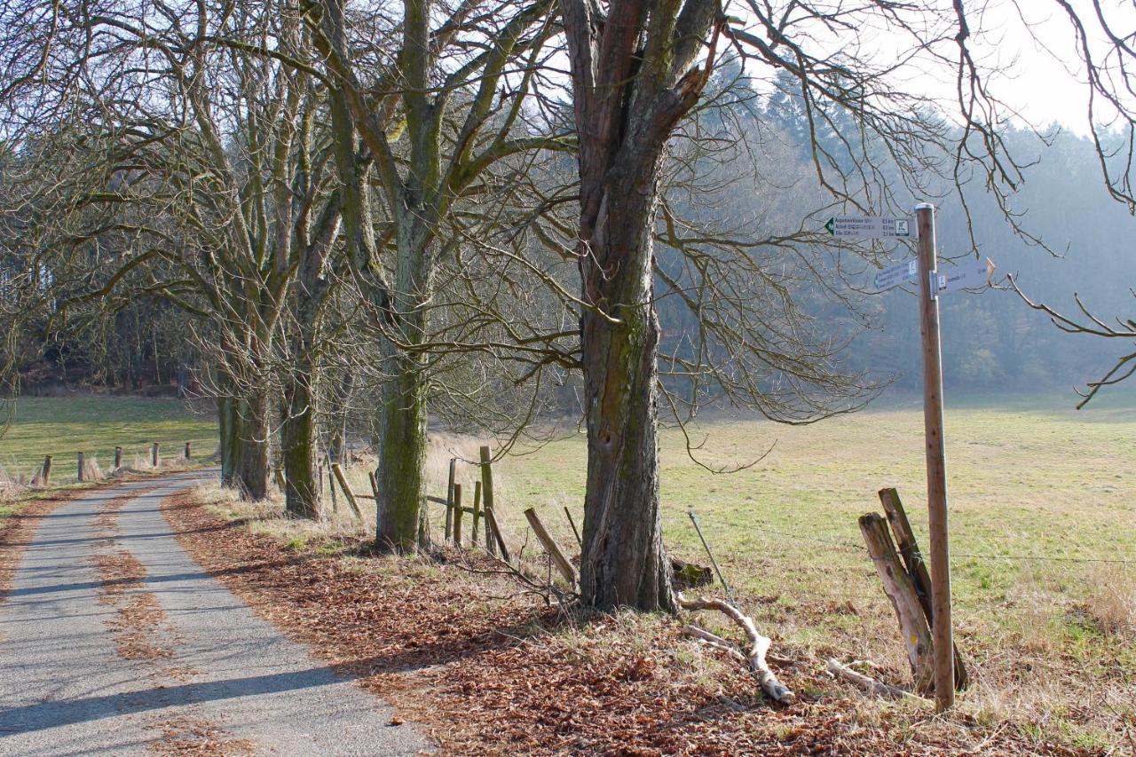 Gasthaus Zur Hardtmuehle Alsfeld Buitenkant foto